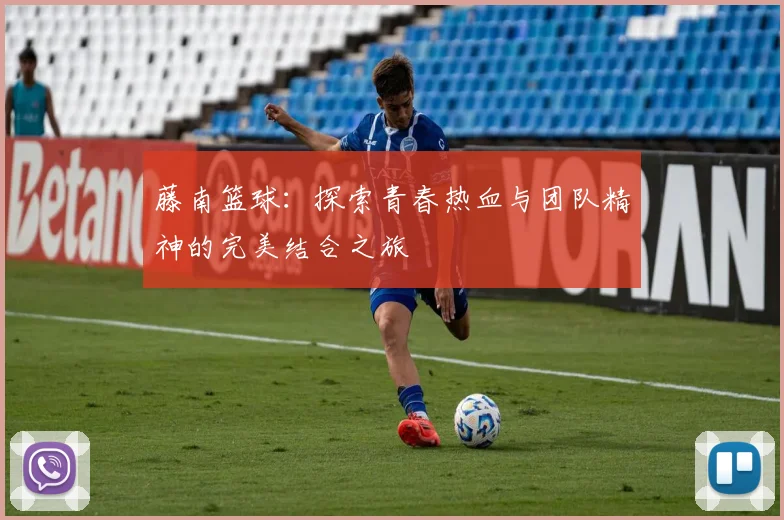 藤南篮球：探索青春热血与团队精神的完美结合之旅