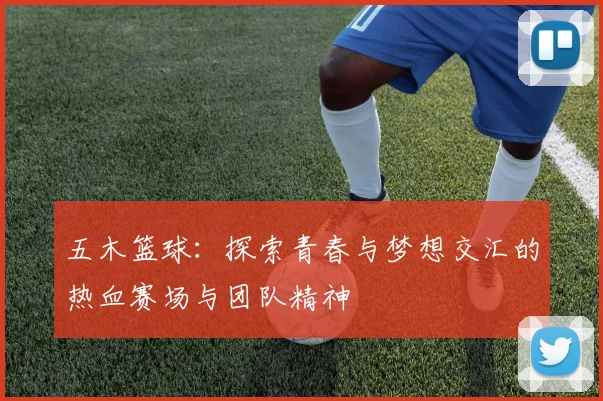 五木篮球：探索青春与梦想交汇的热血赛场与团队精神