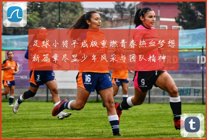 足球小将平成版重燃青春热血梦想新篇章尽显少年风采与团队精神