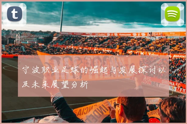 宁波职业足球的崛起与发展探讨以及未来展望分析