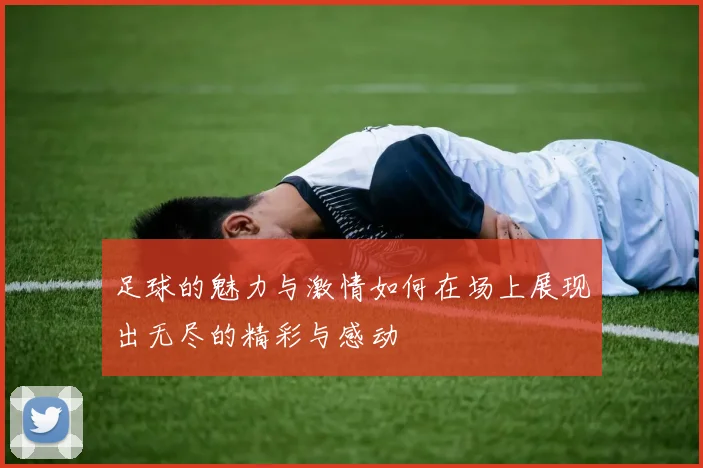足球的魅力与激情如何在场上展现出无尽的精彩与感动