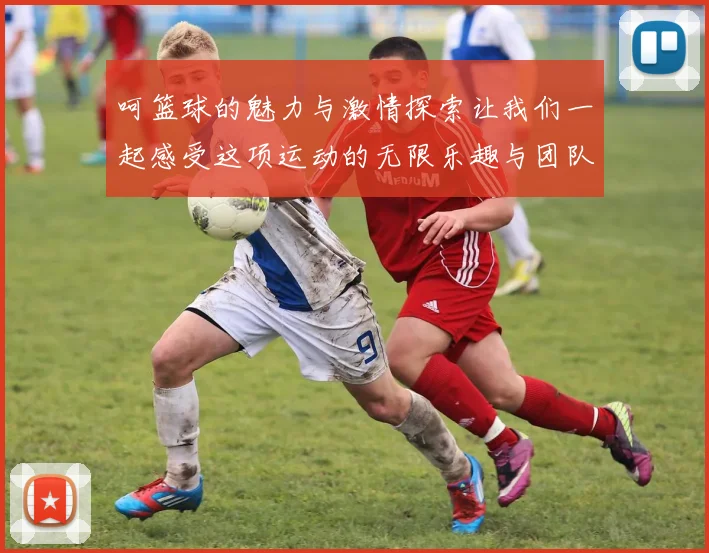 呵篮球的魅力与激情探索让我们一起感受这项运动的无限乐趣与团队精神