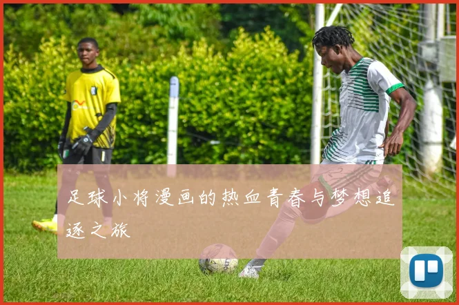 足球小将漫画的热血青春与梦想追逐之旅