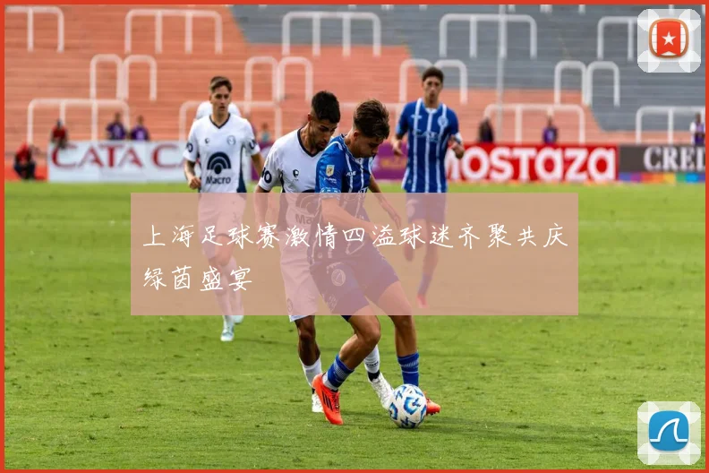上海足球赛激情四溢球迷齐聚共庆绿茵盛宴